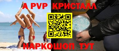 индика Кингисепп