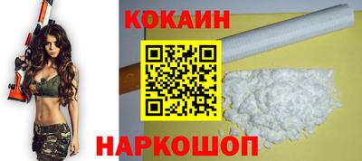 индика Кингисепп