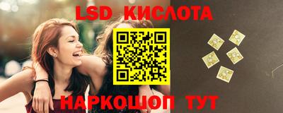 индика Кингисепп