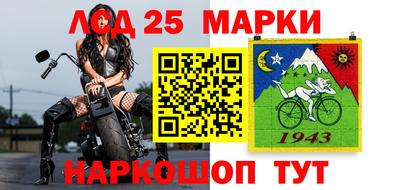 индика Кингисепп
