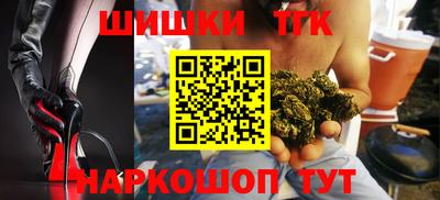 индика Кингисепп