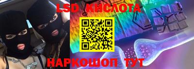 индика Кингисепп
