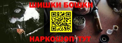 индика Кингисепп