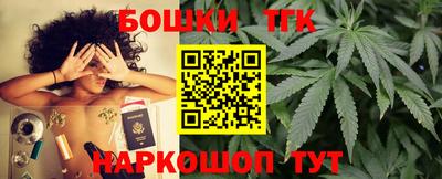 индика Кингисепп