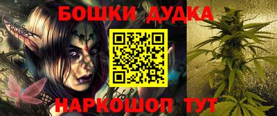 индика Кингисепп