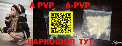 индика Кингисепп