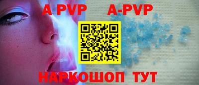 индика Кингисепп