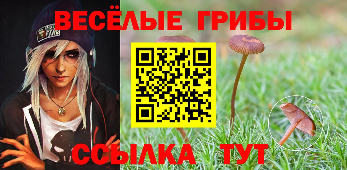 Вологда  Псилоцибиновые грибы Psilocybe  Вход с VPN  Псилоцибиновые грибы Cubensis 