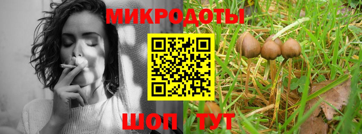 Галлюциногенные грибы ЛСД Вологда